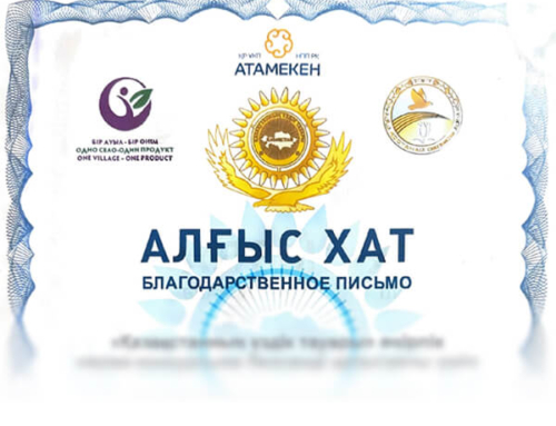 Р. Давлетпаев